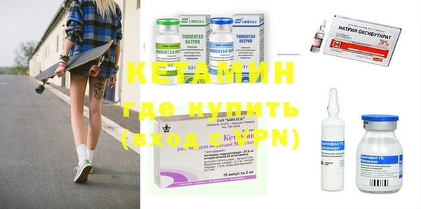 крисы Алексин