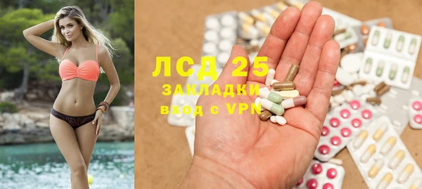 крисы Алексин