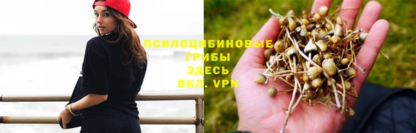 крисы Алексин