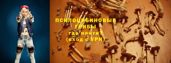 крисы Алексин