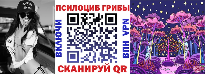 Галлюциногенные грибы Psilocybe  Кинель 
