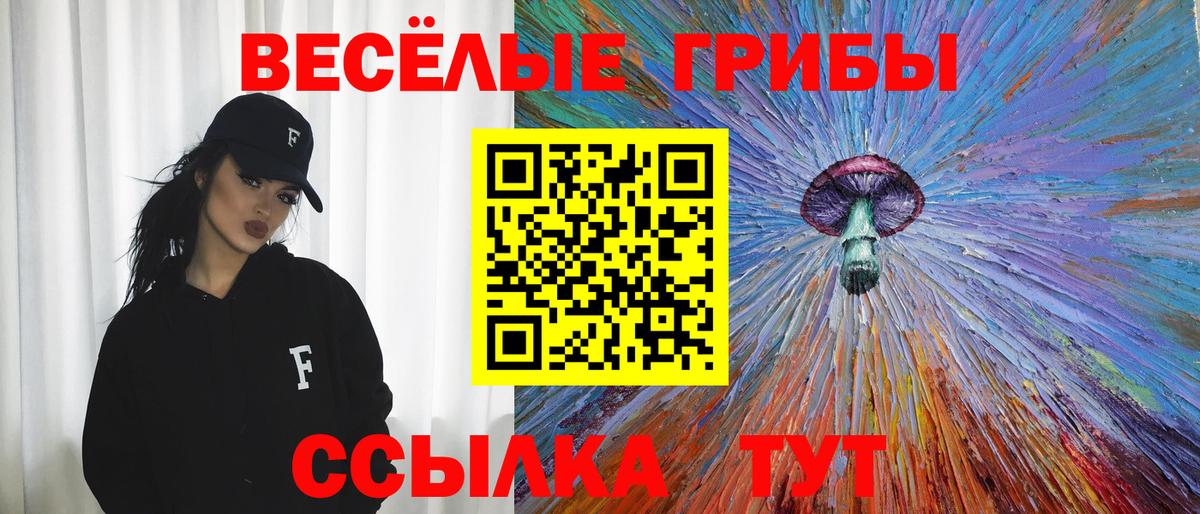 Кинель  Галлюциногенные грибы мухоморы  Вход с VPN 