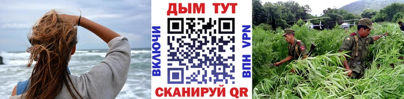 Каннабис конопля  blacksprut ссылка  Кинель 